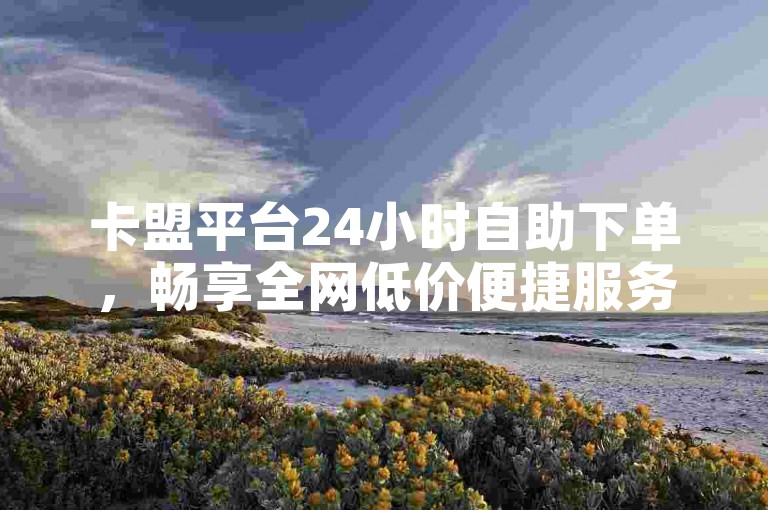 卡盟平台24小时自助下单，畅享全网低价便捷服务。