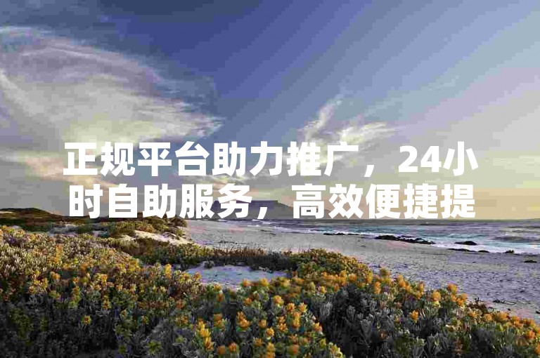 正规平台助力推广，24小时自助服务，高效便捷提升曝光。