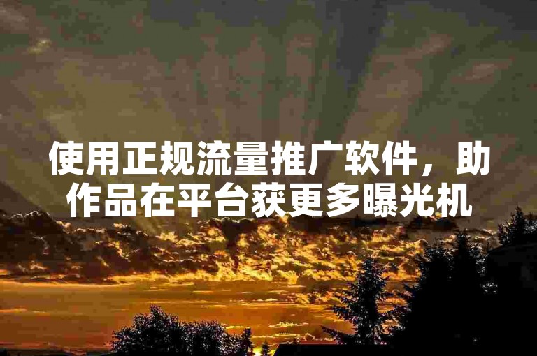 使用正规流量推广软件，助作品在平台获更多曝光机会。