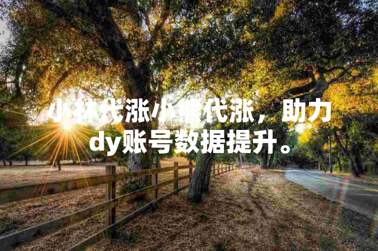 小林代涨小熊代涨，助力dy账号数据提升。