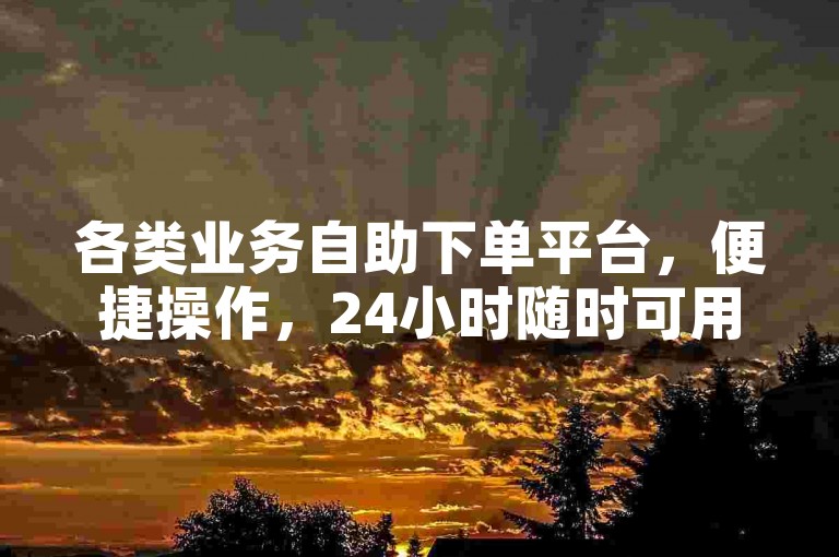 各类业务自助下单平台，便捷操作，24小时随时可用。