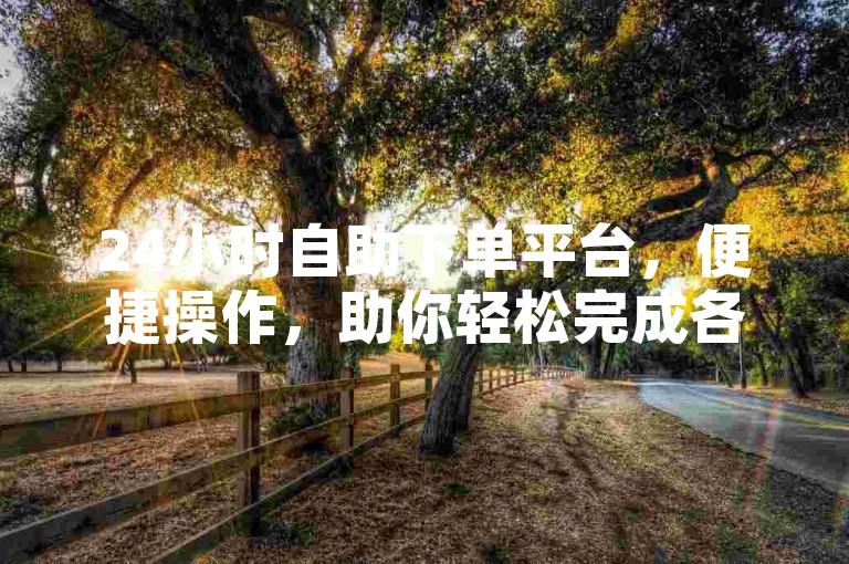 24小时自助下单平台，便捷操作，助你轻松完成各类任务。