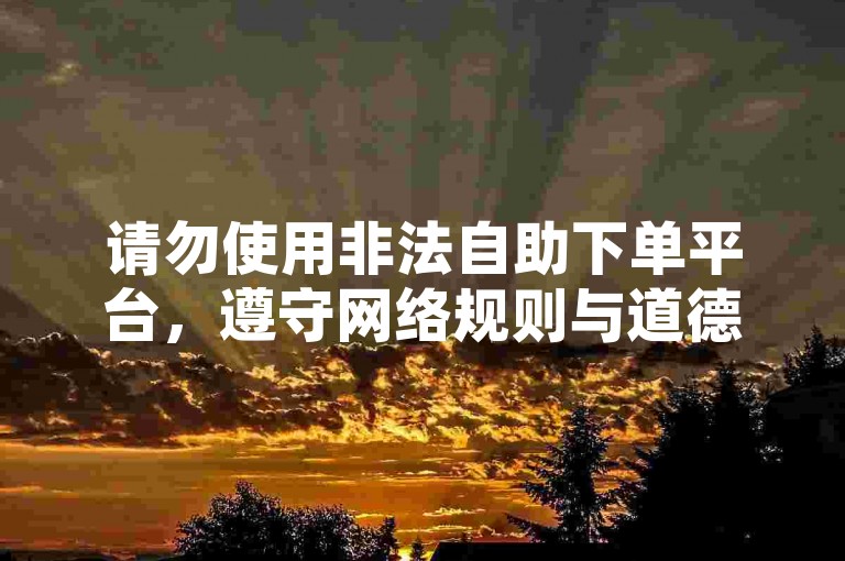 请勿使用非法自助下单平台，遵守网络规则与道德。