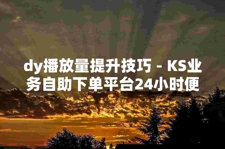 dy播放量提升技巧 - KS业务自助下单平台24小时便捷服务