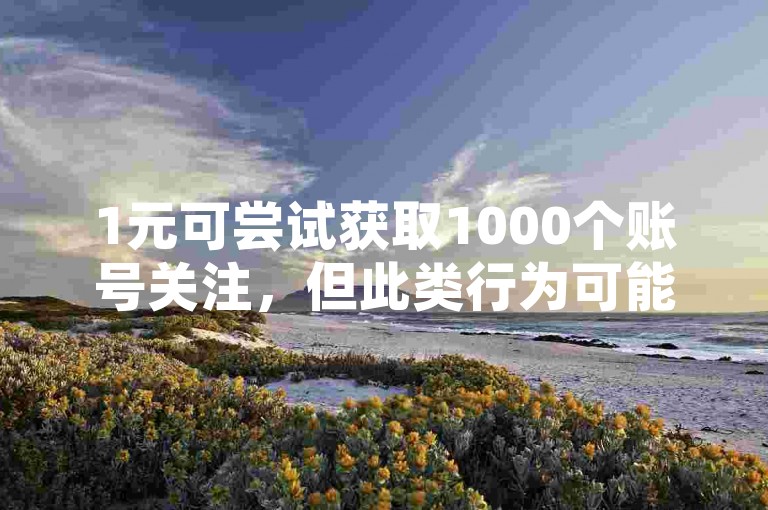 1元可尝试获取1000个账号关注，但此类行为可能违反平台规则。