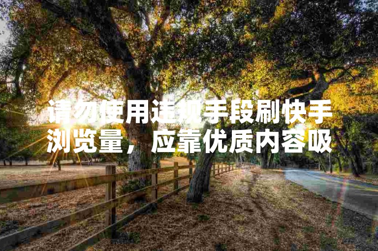 请勿使用违规手段刷快手浏览量，应靠优质内容吸引真实流量。