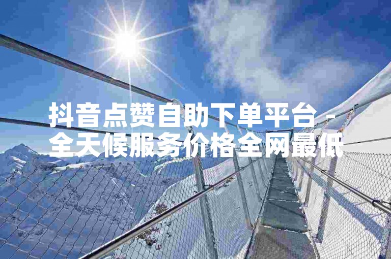 抖音点赞自助下单平台 - 全天候服务价格全网最低