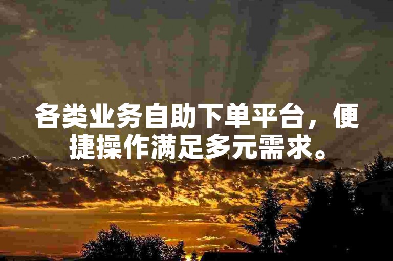 各类业务自助下单平台，便捷操作满足多元需求。