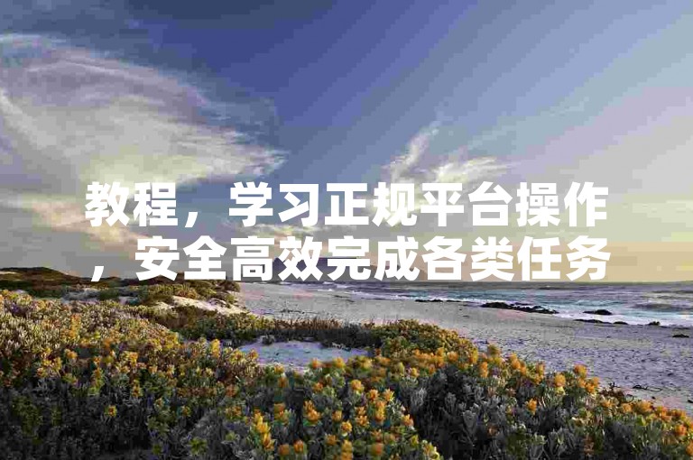 教程，学习正规平台操作，安全高效完成各类任务。