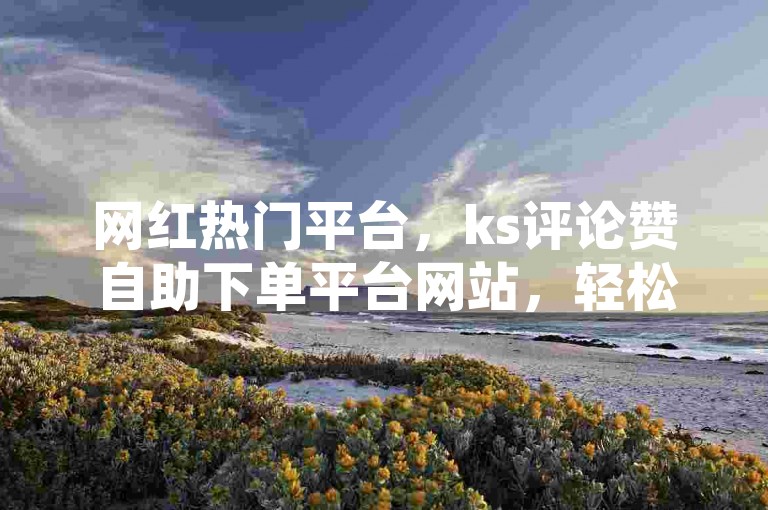 网红热门平台，ks评论赞自助下单平台网站，轻松助你提升互动量。