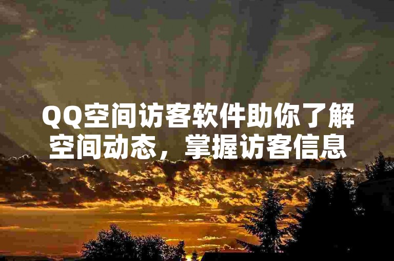 QQ空间访客软件助你了解空间动态，掌握访客信息。