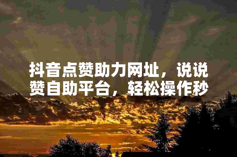 抖音点赞助力网址，说说赞自助平台，轻松操作秒到账。