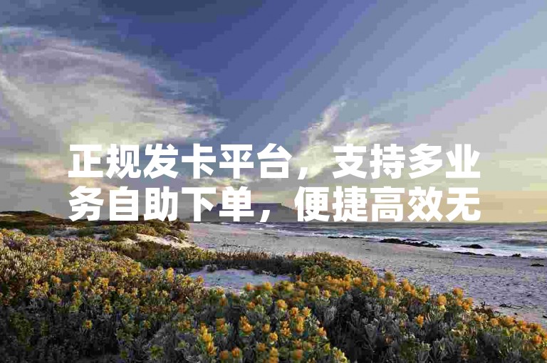 正规发卡平台，支持多业务自助下单，便捷高效无违规风险。