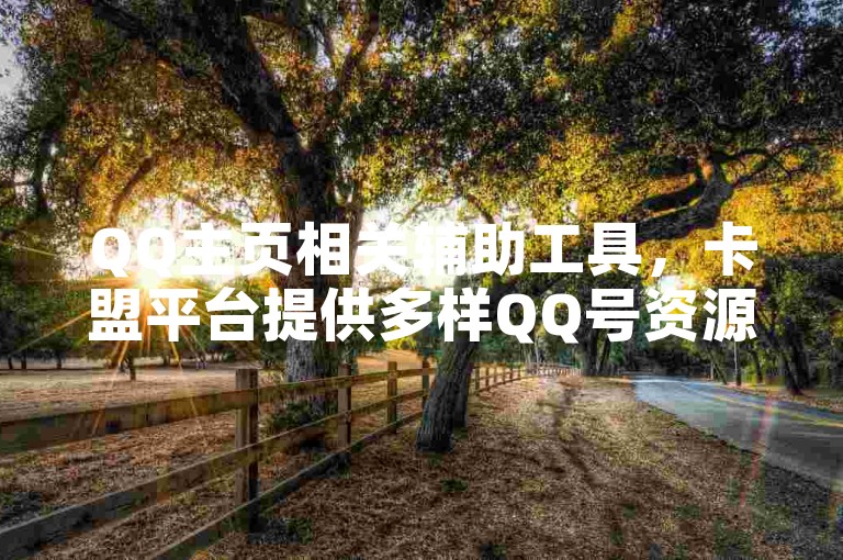 QQ主页相关辅助工具，卡盟平台提供多样QQ号资源。