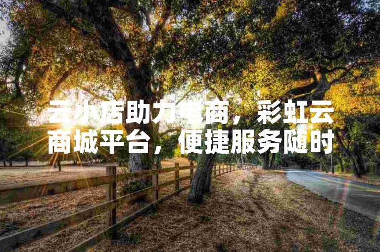 云小店助力电商，彩虹云商城平台，便捷服务随时享。