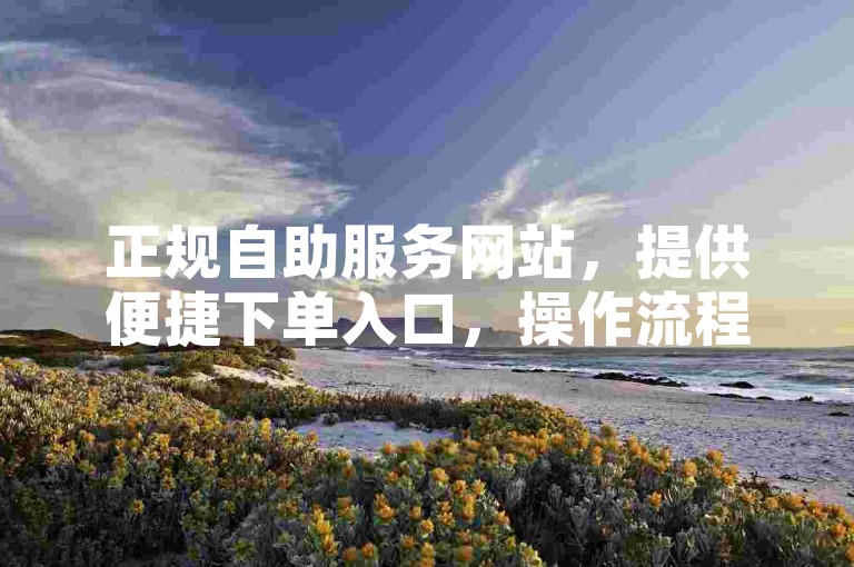 正规自助服务网站，提供便捷下单入口，操作流程清晰明了。