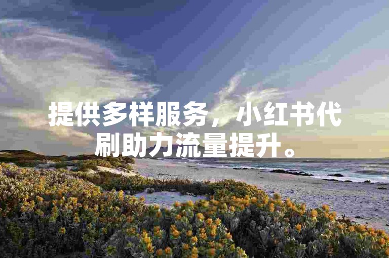 提供多样服务，小红书代刷助力流量提升。