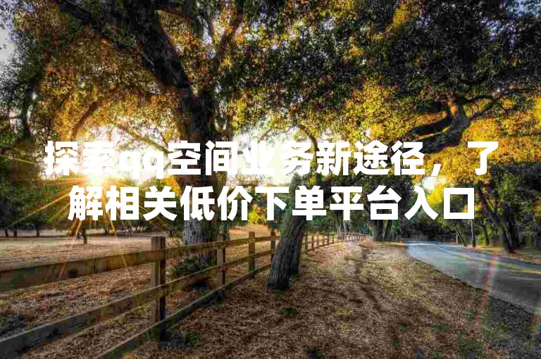 探索qq空间业务新途径，了解相关低价下单平台入口信息。