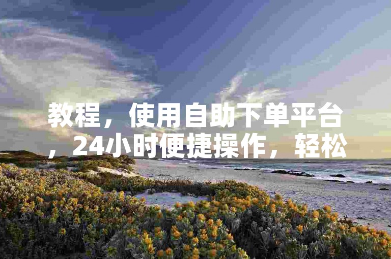 教程，使用自助下单平台，24小时便捷操作，轻松完成业务需求。