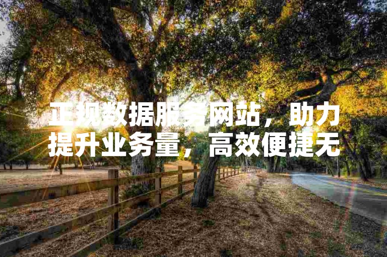 正规数据服务网站，助力提升业务量，高效便捷无风险。