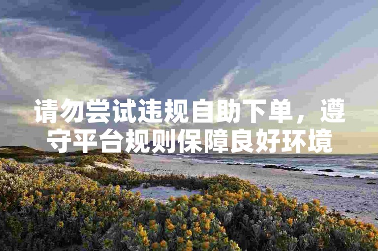 请勿尝试违规自助下单，遵守平台规则保障良好环境。