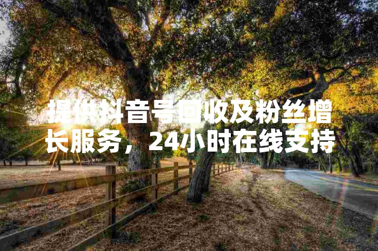 提供抖音号回收及粉丝增长服务，24小时在线支持。