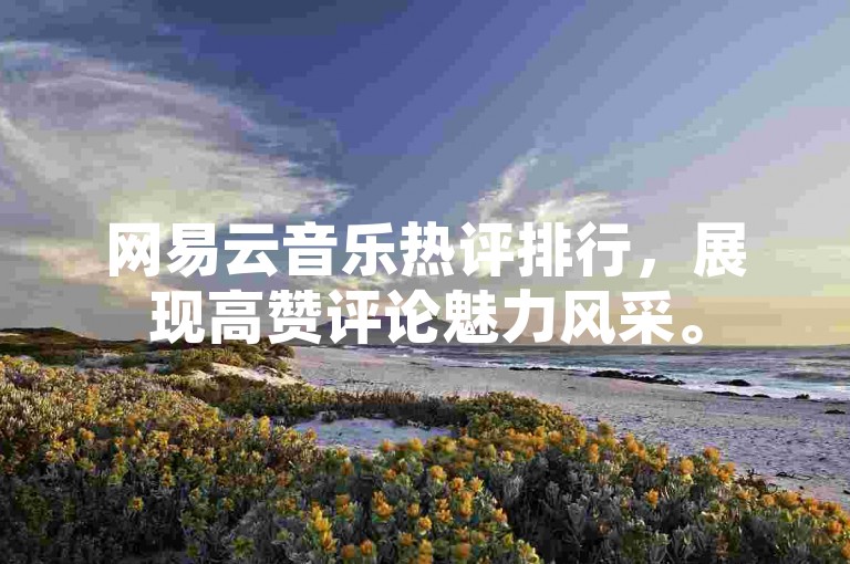 网易云音乐热评排行，展现高赞评论魅力风采。