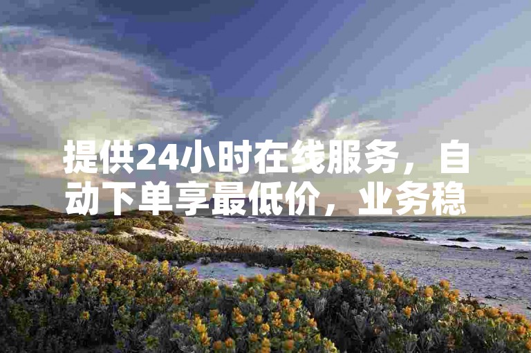 提供24小时在线服务，自动下单享最低价，业务稳定粉丝不减。