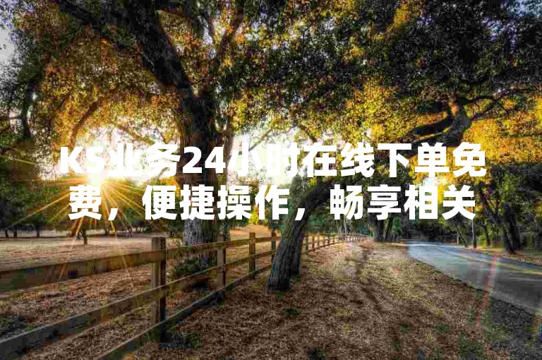 KS业务24小时在线下单免费，便捷操作，畅享相关服务。