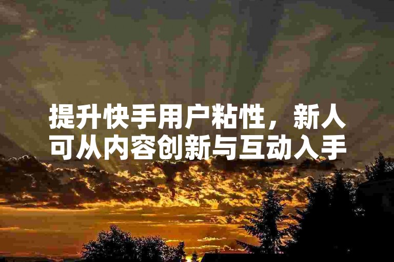 提升快手用户粘性，新人可从内容创新与互动入手！