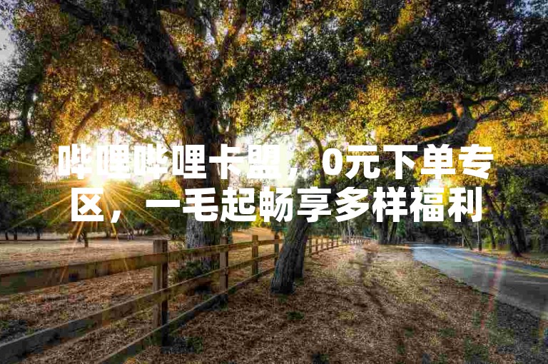 哔哩哔哩卡盟，0元下单专区，一毛起畅享多样福利。
