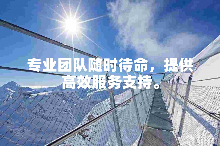 专业团队随时待命，提供高效服务支持。