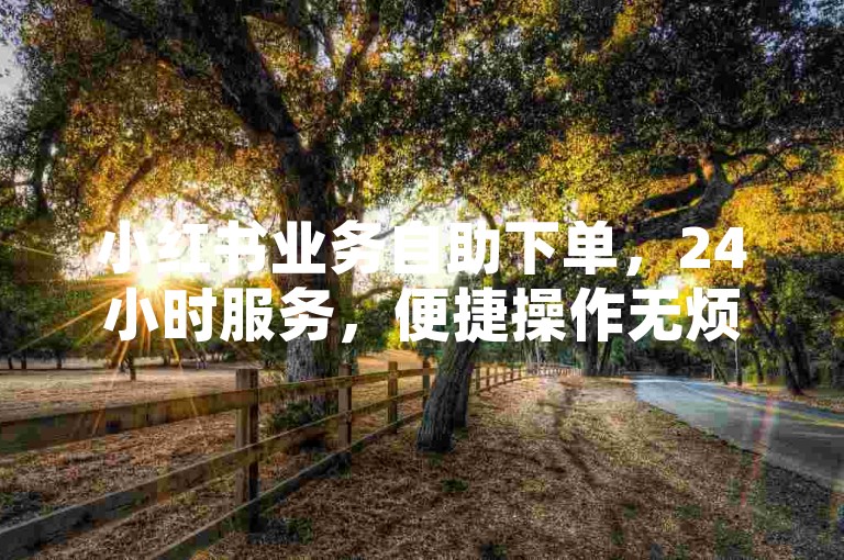 小红书业务自助下单，24小时服务，便捷操作无烦恼。