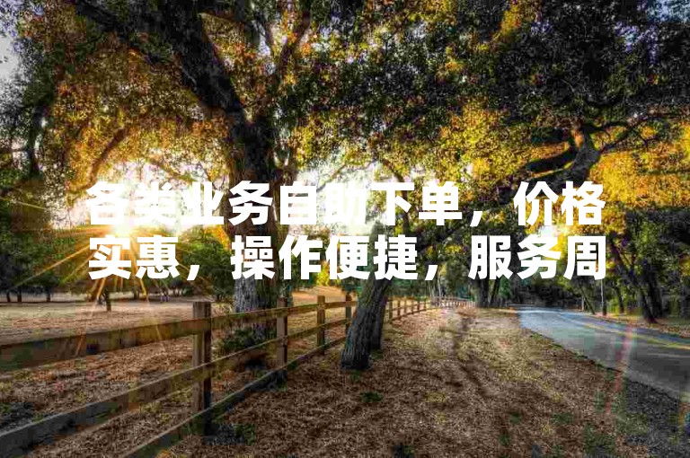 各类业务自助下单，价格实惠，操作便捷，服务周到。