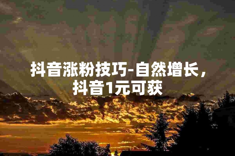 抖音涨粉技巧-自然增长，抖音1元可获500真实活跃粉丝