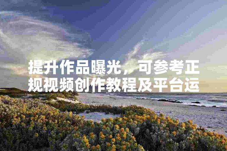 提升作品曝光，可参考正规视频创作教程及平台运营技巧。