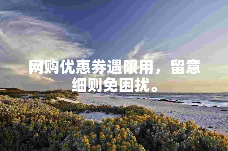 网购优惠券遇限用，留意细则免困扰。