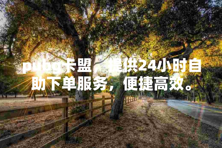 pubg卡盟，提供24小时自助下单服务，便捷高效。
