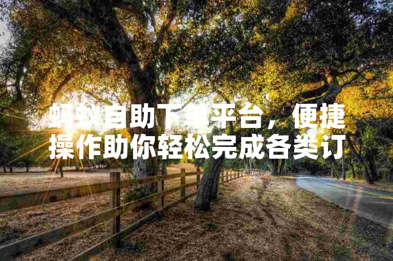 蚂蚁自助下单平台，便捷操作助你轻松完成各类订单。