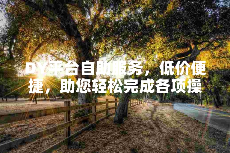 DY平台自助服务，低价便捷，助您轻松完成各项操作。