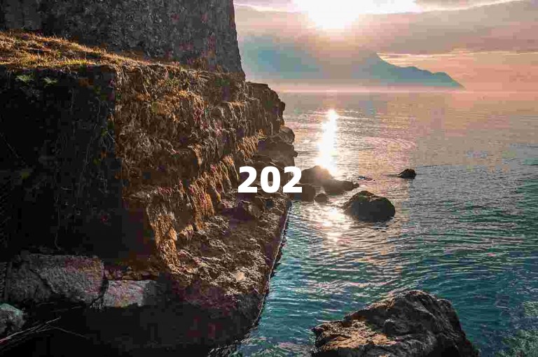 2025必学，qq空间动态浏览记录与访问痕迹差异详解！