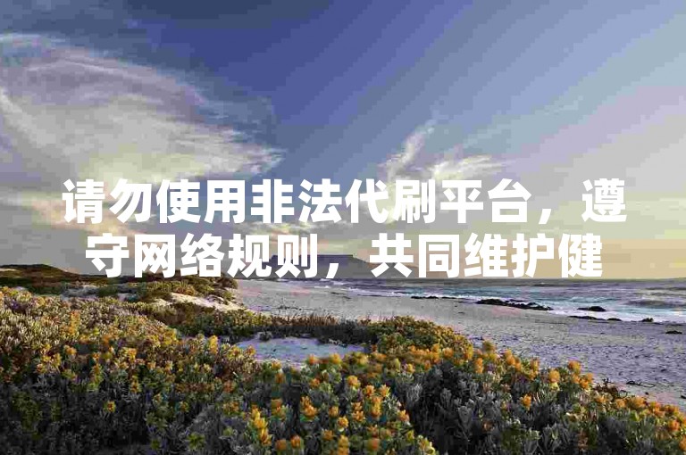 请勿使用非法代刷平台，遵守网络规则，共同维护健康网络环境。