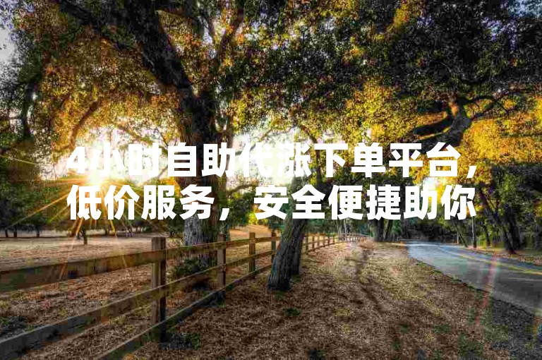 4小时自助代涨下单平台，低价服务，安全便捷助你提升。