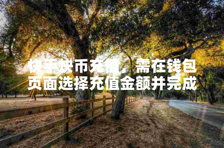 快手快币充值，需在钱包页面选择充值金额并完成支付。