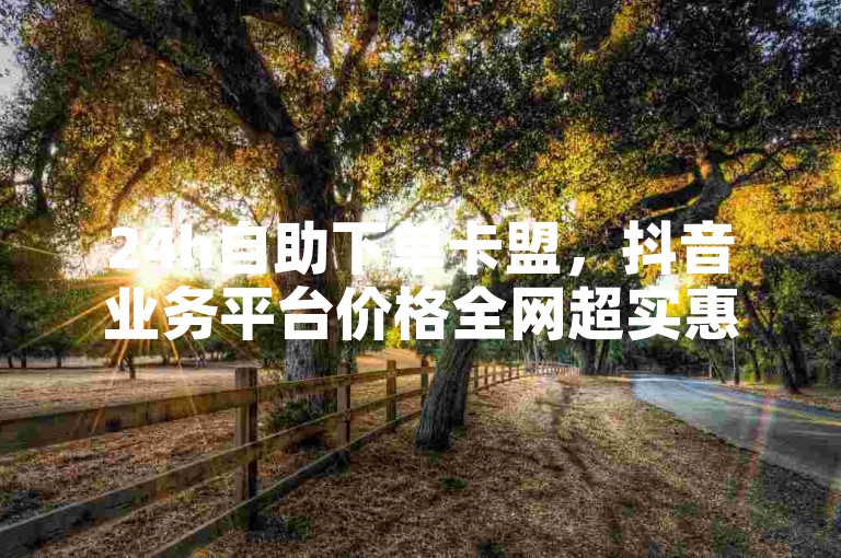 24h自助下单卡盟，抖音业务平台价格全网超实惠