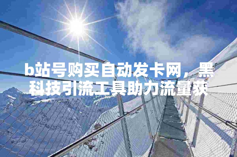 b站号购买自动发卡网，黑科技引流工具助力流量获取。