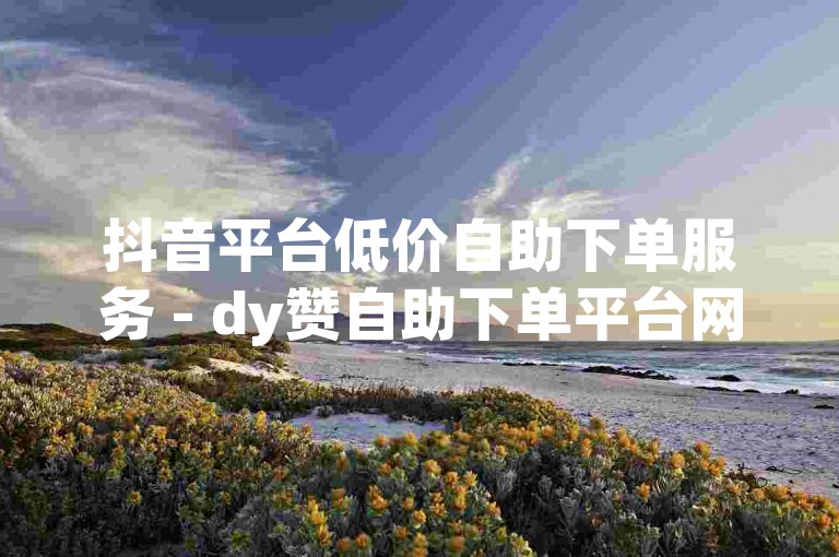 抖音平台低价自助下单服务 - dy赞自助下单平台网站微信