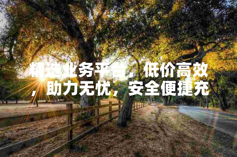 精选业务平台，低价高效，助力无忧，安全便捷充值体验。