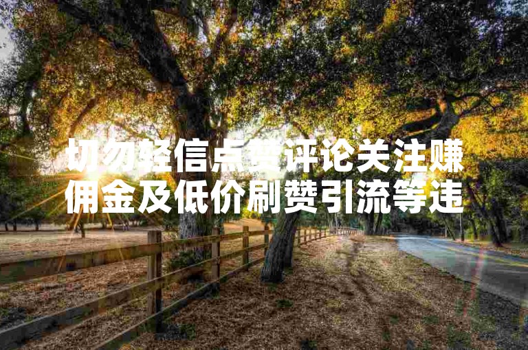 切勿轻信点赞评论关注赚佣金及低价刷赞引流等违规软件宣传。