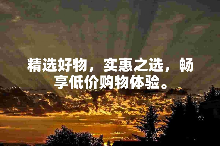 精选好物，实惠之选，畅享低价购物体验。